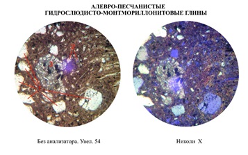 Алевро-песчанистые глины