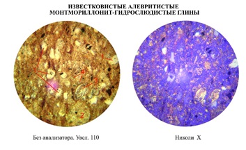 Фосфоритистые глины